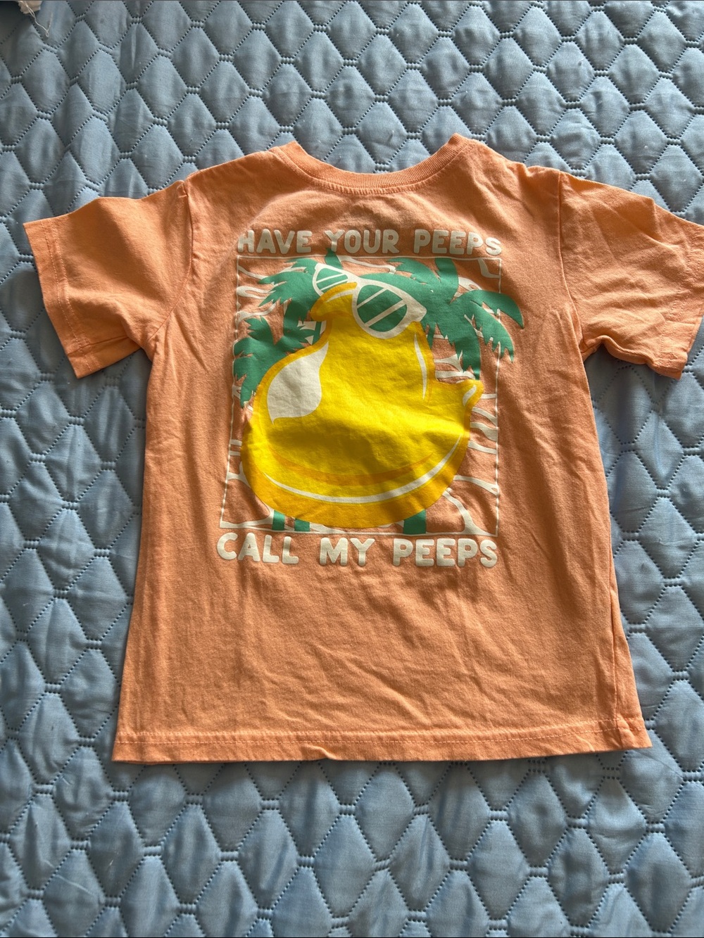Kids Peach Short-Sleeve Graphic Tee with Yellow Chick Print